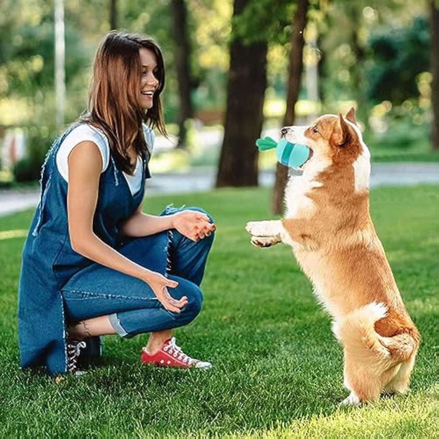 Interactive Treat Dispensing Dog Toy | Puzzle Chew Ball for Medium & Large Dogs