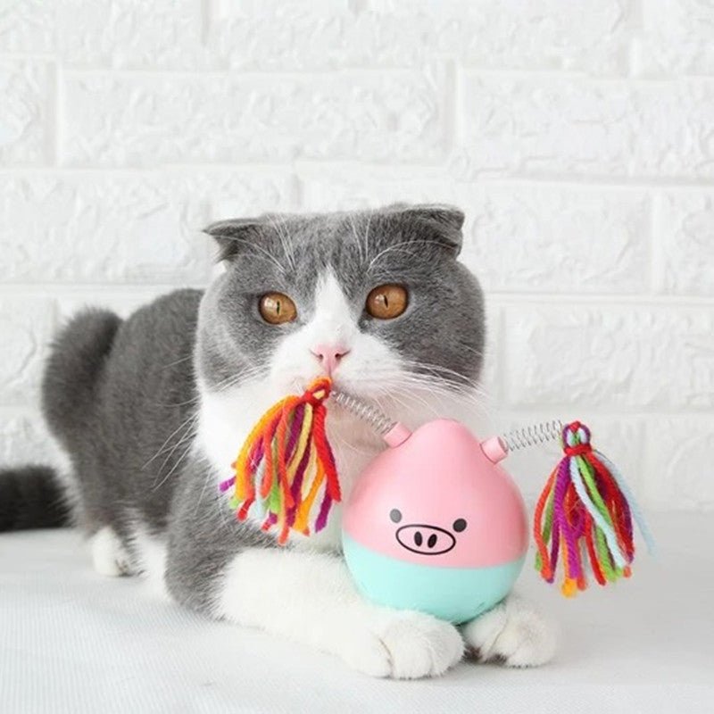 Tumbler Pet Toy | Interactive Cat Toy with Pompom & Wool Attachments