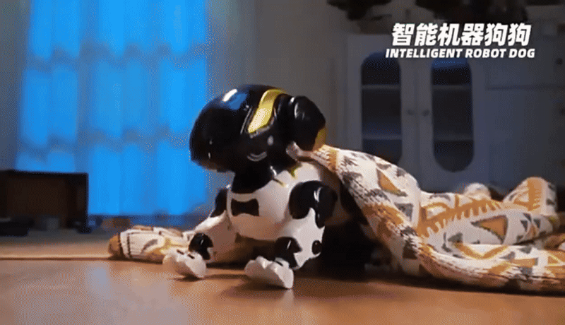 Advance robot dog uae