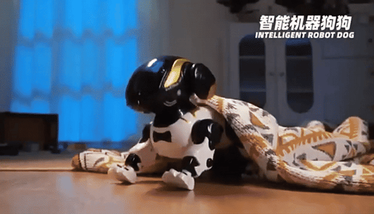 Advance robot dog uae