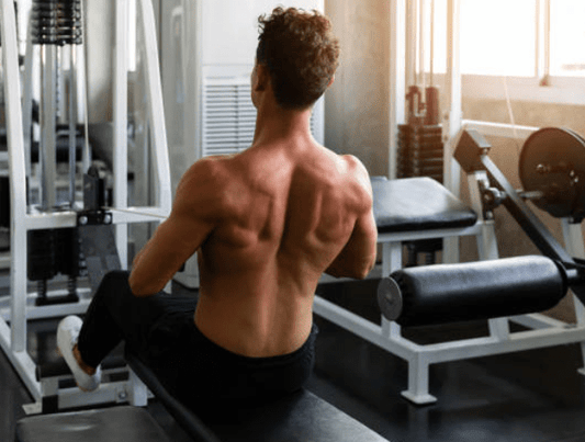 MAX Titanium LG L Glutamina Powder Sports Nutrition for Athletes
