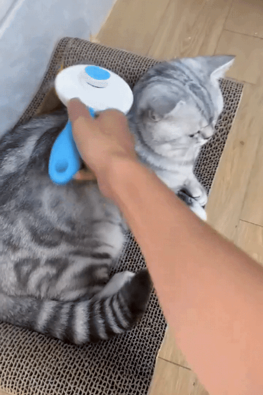 Pet Grooming Brush for Cats & Dogs – Self-Cleaning Comb with Massage Needles