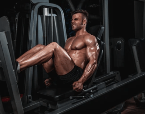 Weight Gainer NXT High Calorie Muscle Building Formula