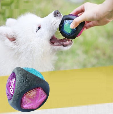 Dog Toy Ball | Glow & Sound Chew Toy for Puppies & Large Dogs