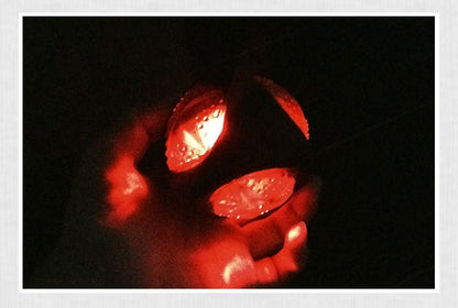 Dog Toy Ball | Glow & Sound Chew Toy for Puppies & Large Dogs