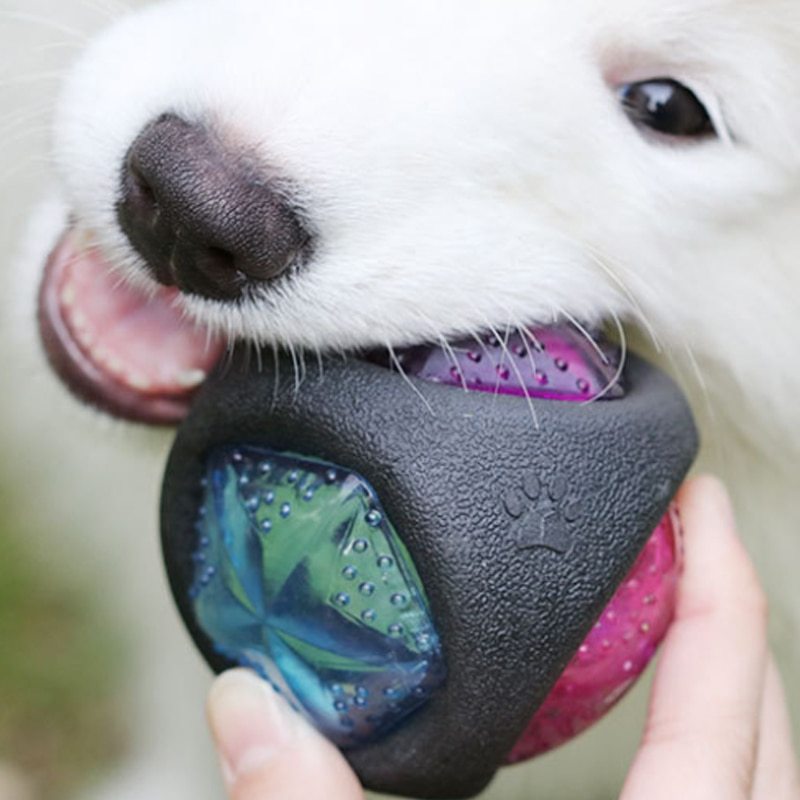 Dog Toy Ball | Glow & Sound Chew Toy for Puppies & Large Dogs