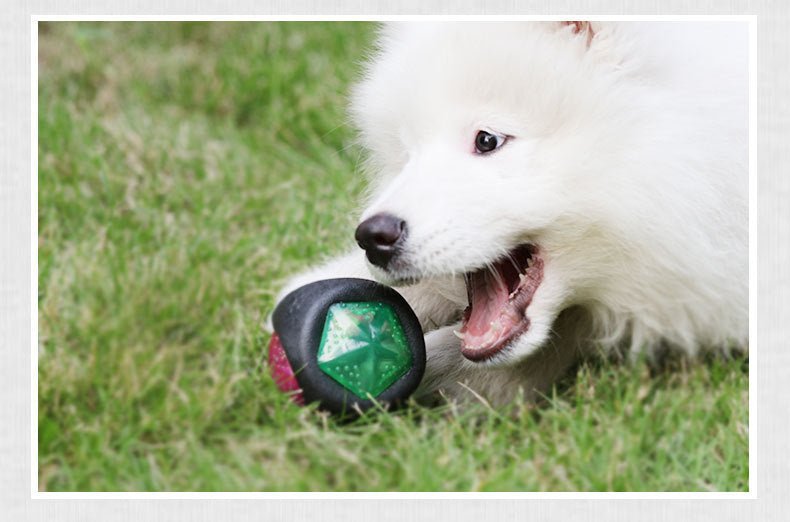 Dog Toy Ball | Glow & Sound Chew Toy for Puppies & Large Dogs