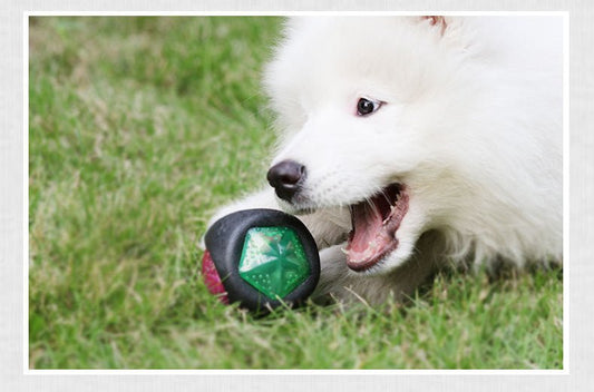 Dog Toy Ball | Glow & Sound Chew Toy for Puppies & Large Dogs