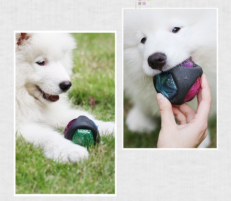 Dog Toy Ball | Glow & Sound Chew Toy for Puppies & Large Dogs