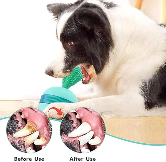 Interactive Treat Dispensing Dog Toy | Puzzle Chew Ball for Medium & Large Dogs