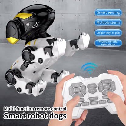 interactive pet toy dubai