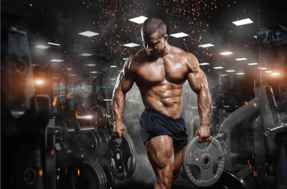 NP Nutrition - L-Glutamin &  BCAA (Original) - Infinitygallery.store