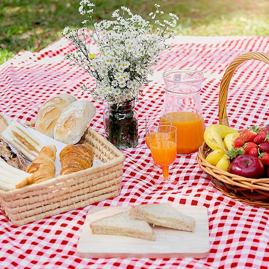 Comfortable & Portable Picnic Mat – Easy to Carry and Clean - Infinitygallery.store