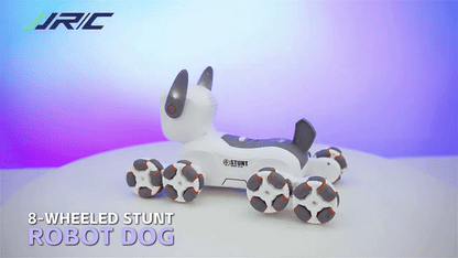 rc robot dog uae robot toy dubai stunt robot toy abu dhabi