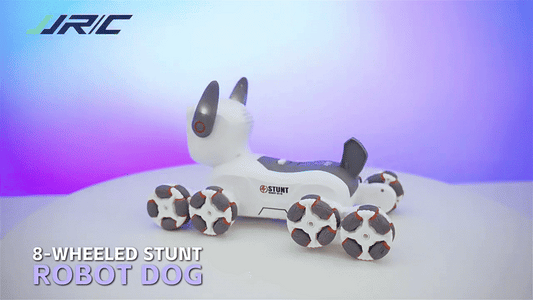 rc robot dog uae robot toy dubai stunt robot toy abu dhabi