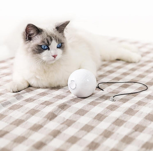 Smart Automatic Interactive Cat Toy Ball | Fun Pet Play
