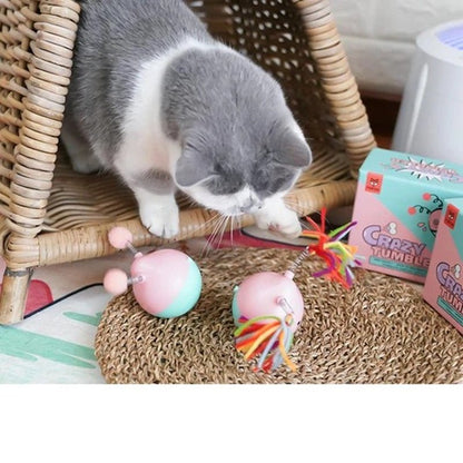 Tumbler Pet Toy | Interactive Cat Toy with Pompom & Wool Attachments