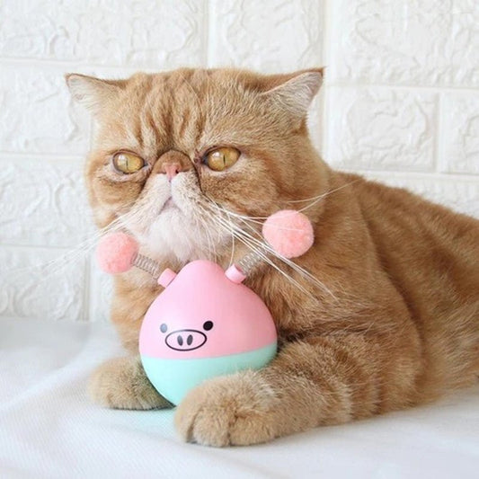 Tumbler Pet Toy | Interactive Cat Toy with Pompom & Wool Attachments